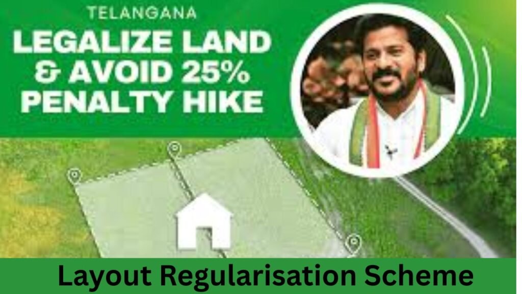 Layout Regularisation Scheme
