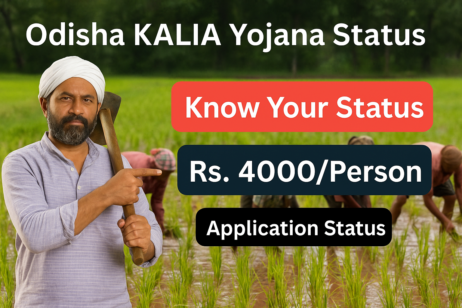 Kalia Yojana Status