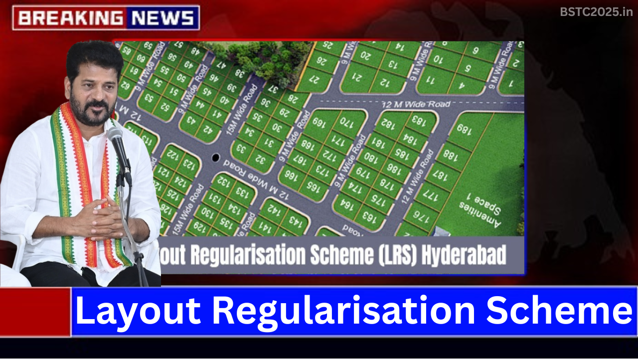 Layout Regularisation Scheme